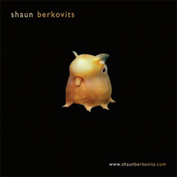 CD Cover shaun berkovits