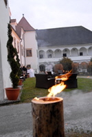 Schloss Dornhofen 05