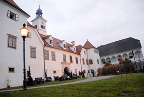 Schloss Dornhofen 06